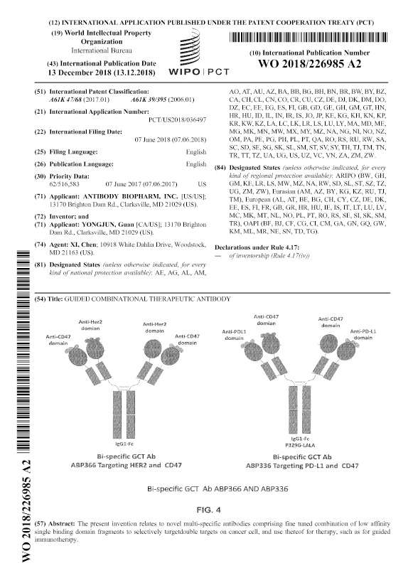 国际专利Guided Combinational Therapeutic Antibodies (GCT-Ab) 